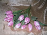 Tulipány starorůžové