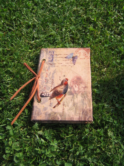 Zápisník ptáčci