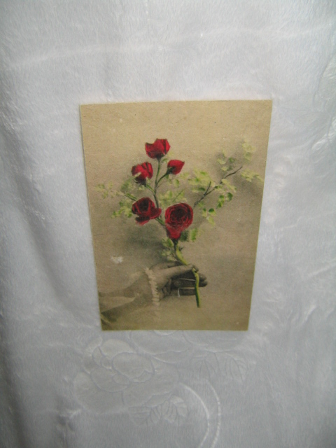 Obrázek - květ růže