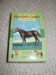 Karty s koněm