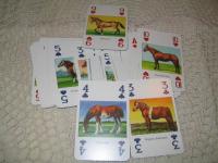 Karty s koněm